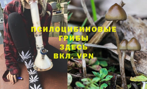 гашишное масло Касимов